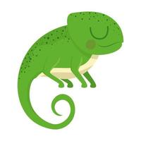 pretty iguana design vector