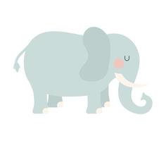 pretty elephant icon vector