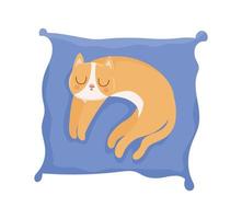 pretty cat resting vector