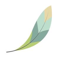 boho feather representation vector