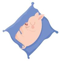 pretty piggy resting vector