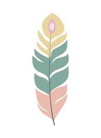 boho feather design vector