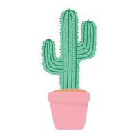 cactus in pink pot vector