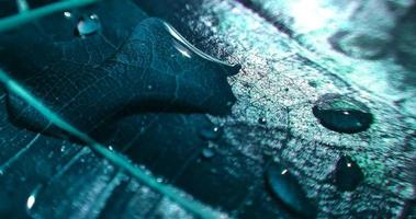 fondo natural de cerca la imagen. hermosas gotas de agua de lluvia transparente sobre una hoja de color macro. foto