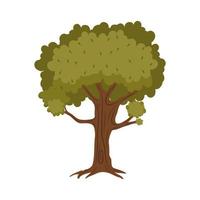 tree plant nature vector