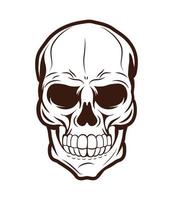 Isolated skull head vector