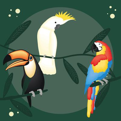 Cute brids cartoons