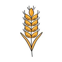 wheat spike icon vector