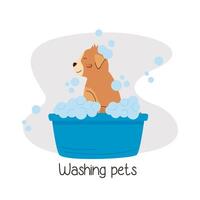 little dog bathing vector