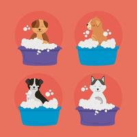 cuatro iconos de mascotas de lavado vector
