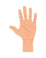 hand human stop palm vector