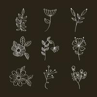 nine sketch flowers vector