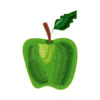 apple fresh fruit vector