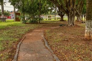 cassilandia, mato grosso do sul, brasil, 2021 - plaza abierta para caminar plaza elza vendrame foto