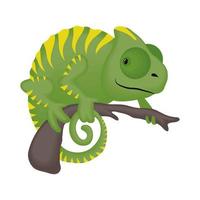 Cute chameleon cartoon vector