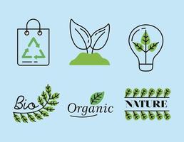 six organic icons vector