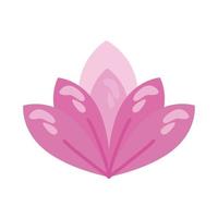 lilac lotus flower vector