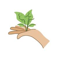 hand holds plant vector