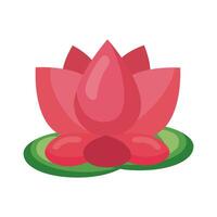 lotus flower floating vector