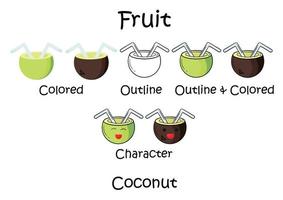 collection of illustrations of coconuts vector