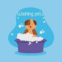 lindo perro bañándose vector