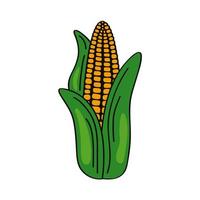 maíz vegetal fresco vector