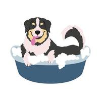 perro tomando baño vector