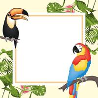 Frame with birds vector