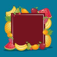 frame with fruits vector