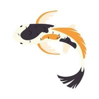 yellow black and white koi fish vector