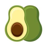 avocado fresh vegetable vector