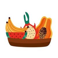 dish with tropical fruits vector