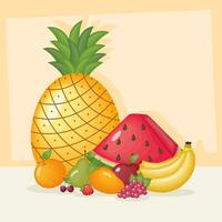 colección de iconos de frutas vector