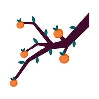 oranges in branch of tree vector