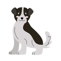 back and white dog vector