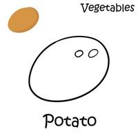 hand drawn potatoes on a white background vector