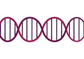 DNA gene background on a white background
