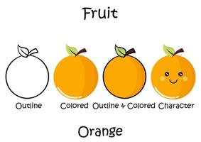 collection of illustrations of citrus fruits vector