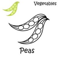 hand drawn peas on a white background vector