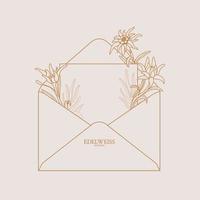 Edelweiss. Envelope with edelweiss flowers. Floral envelope with place for text, can be used as invitation, card, banner. Copy space. Vector stock illustration on a pink background.