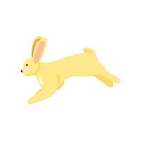 cute rabbit jumping vector