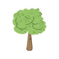 greenery frond tree vector