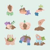 set of growth of plants vector