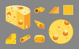 pieces of cheese vector