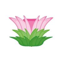natural lotus flower vector