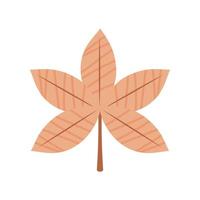 leaf autumn season vector