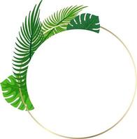 Round frame with tropical green leaves vector