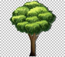 un árbol con hojas verdes sobre fondo de cuadrícula vector