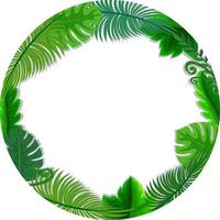 Round frame with tropical green leaves vector