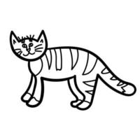Cartoon  doodle cat isolated on white background. vector
